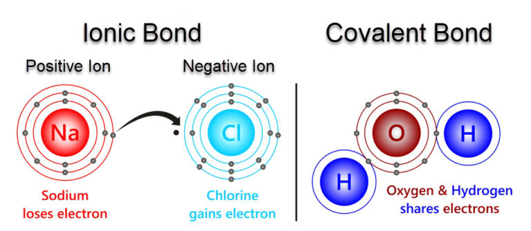 Why Learn Physiologic Chemistry? | Medical Science Navigator